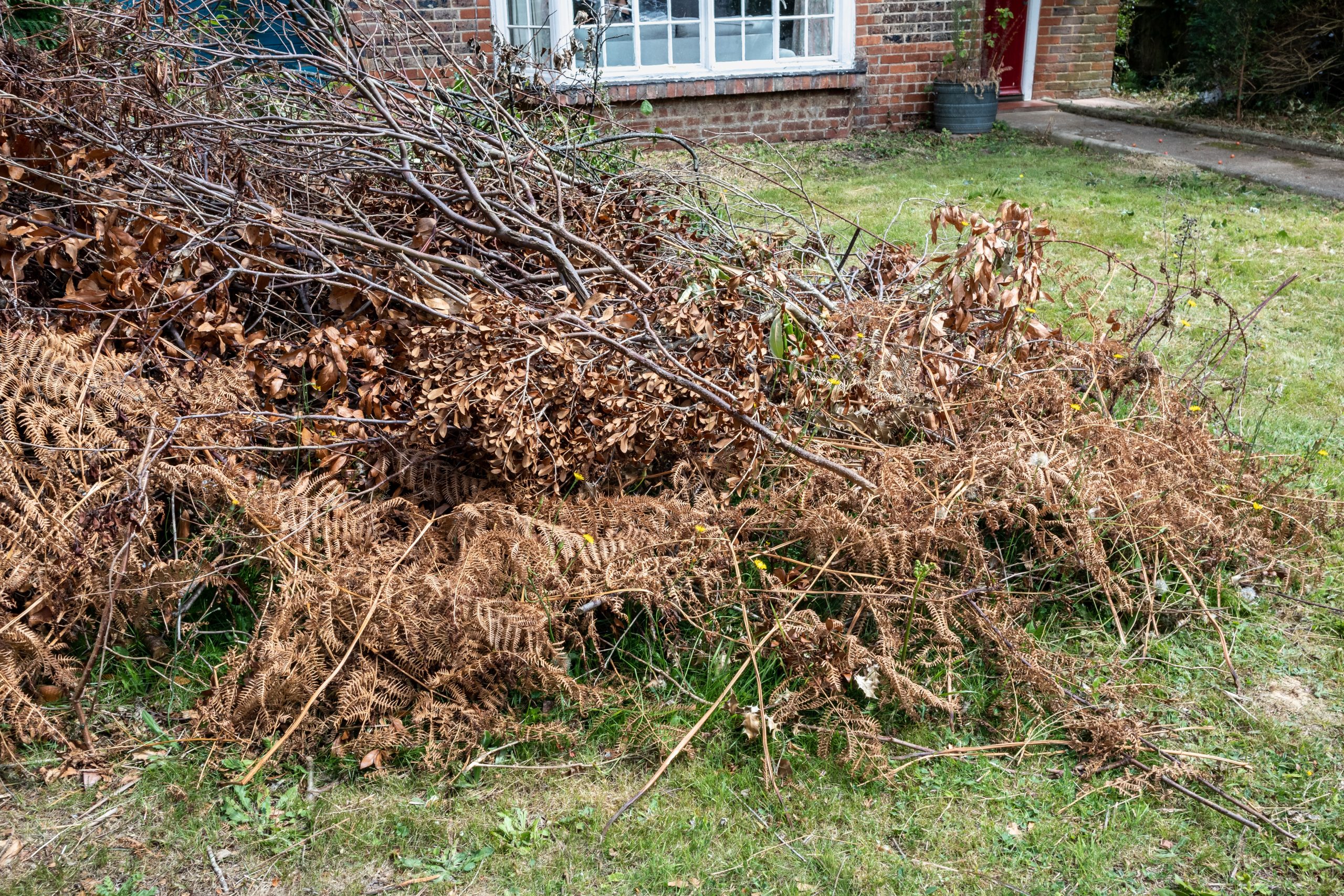 Garden Green Waste Removal Mitcham CR4